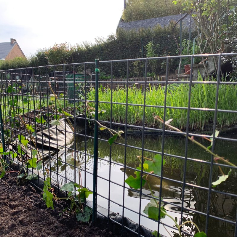 Entretien des étangs