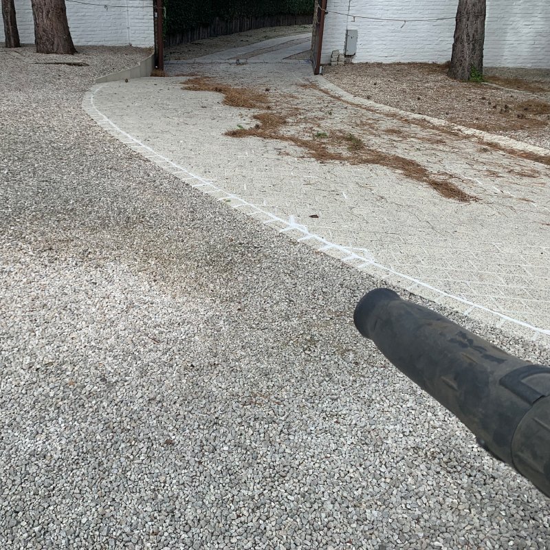 Soufflage des feuilles